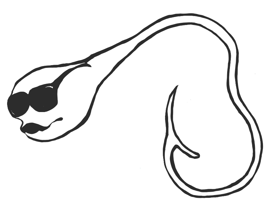 Long Sleeve UPF 50+ Performance Tee- Hook em' Navy